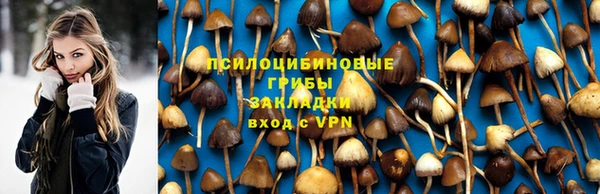 меф Арсеньев