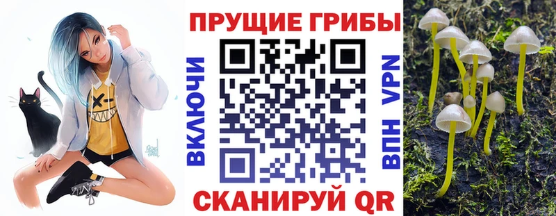 Галлюциногенные грибы мухоморы как найти Суджа